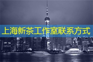 上海茶庄中的泡茶艺术